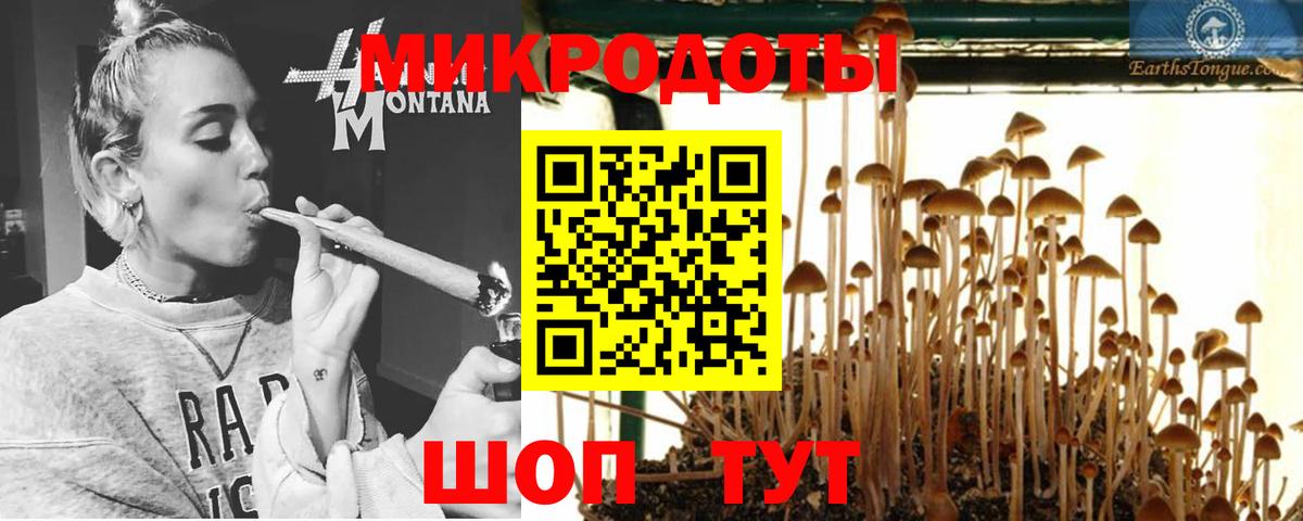 Галлюциногенные грибы мухоморы Сочи