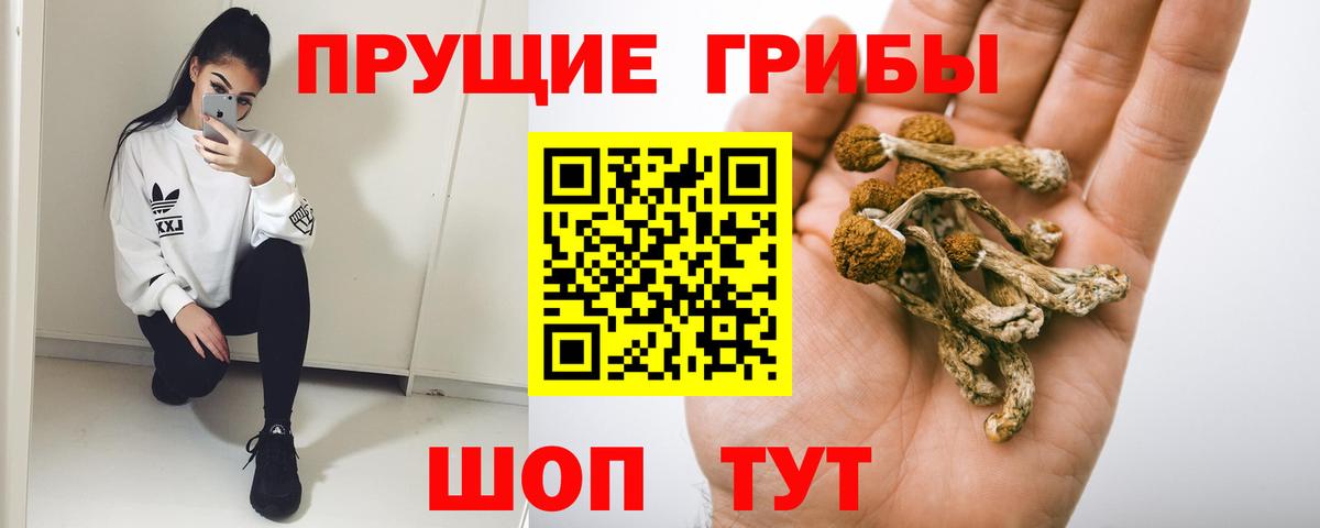 Сочи  Галлюциногенные грибы GOLDEN TEACHER  Вход с VPN 